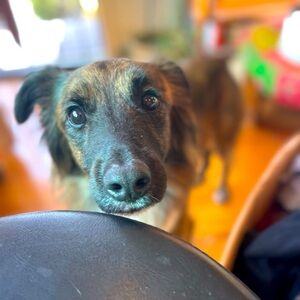 Meet your Posher, Steven